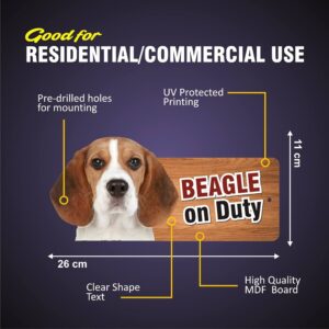 Pets Accessories